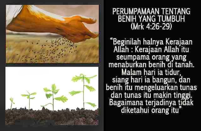 Esensi Benih yang Tidak Tumbuh: Sebuah Doa Tersembunyi dalam Keheningan